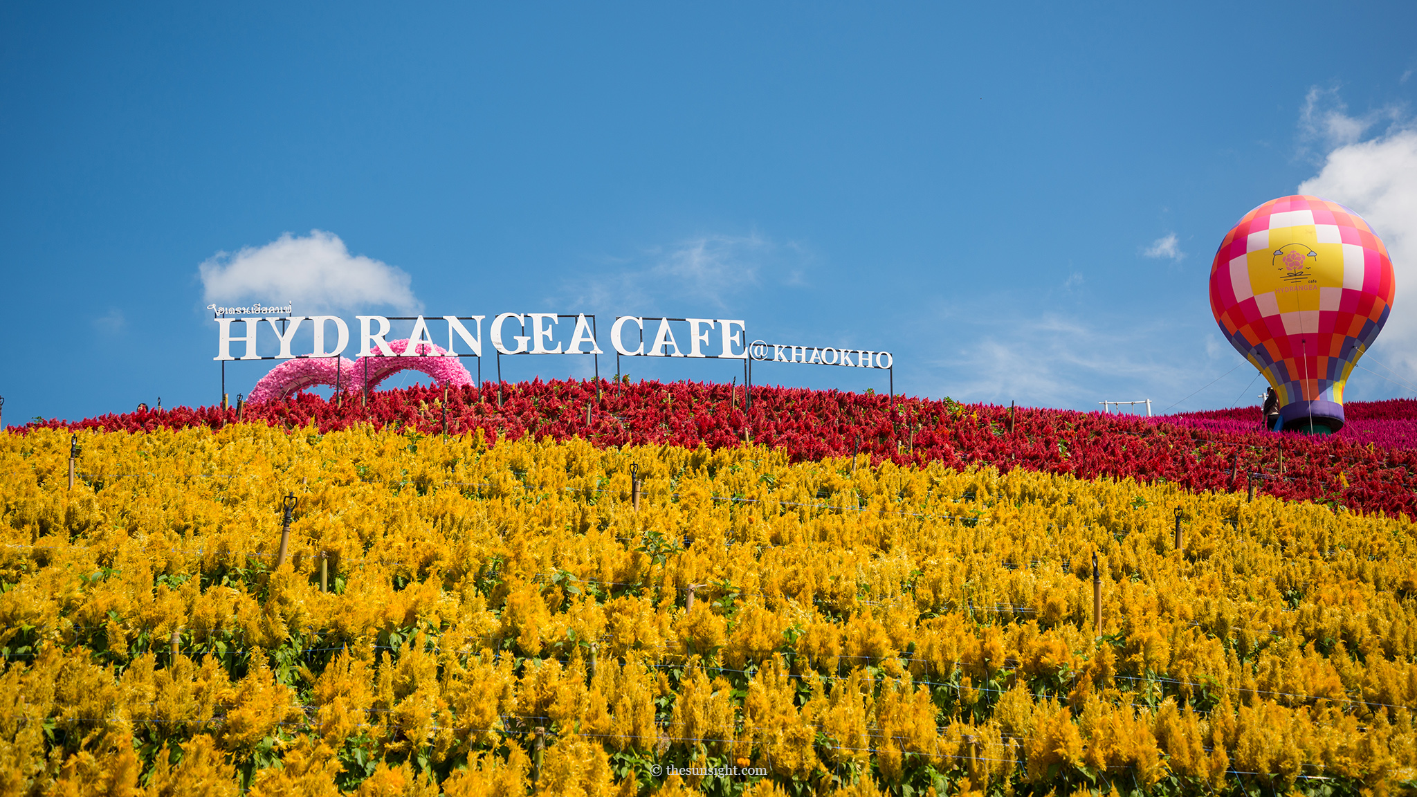 Hydrangea Cafe เขาค้อ 